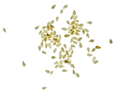 Beyaz arkaplanda susam izole