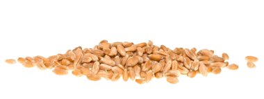 Beyaz arkaplanda yalıtılmış buğday tanesi