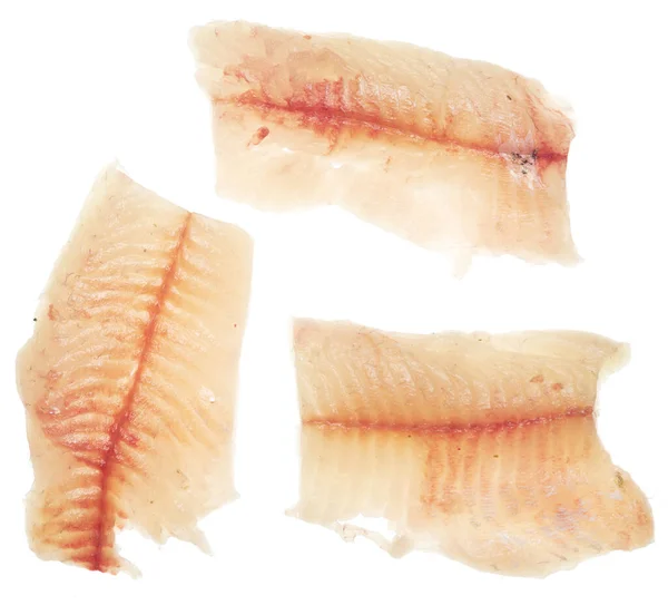 Filé Peixe Fundo Branco — Fotografia de Stock