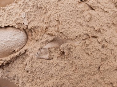 Çikolatalı dondurma, yemek geçmişi.