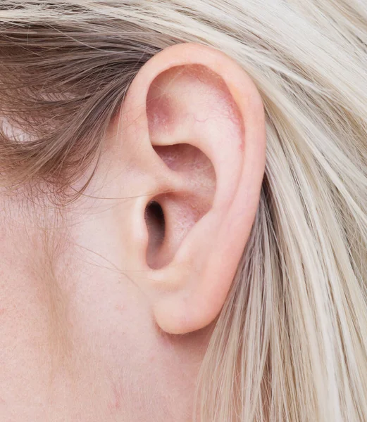 Close Shot Woman Ear — Stock Photo, Image