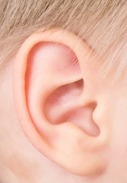 孩子耳朵 — 图库照片