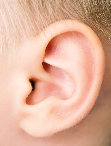 Baby ear — Stock Photo, Image