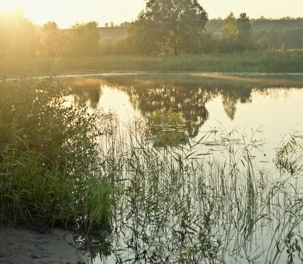 Goedemorgen. — Stockfoto