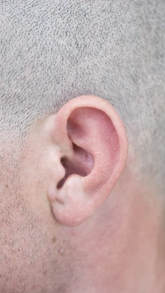 Lidské ucho — Stock fotografie
