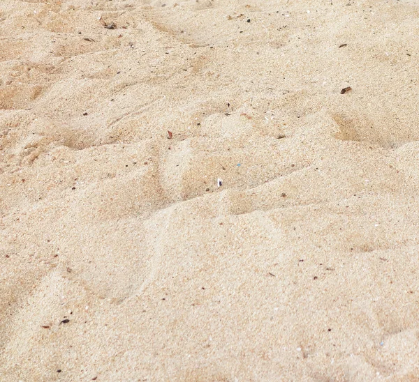 Spiaggia di sabbia — Foto Stock