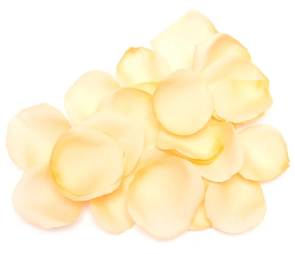 Rose petals — Stock Photo, Image