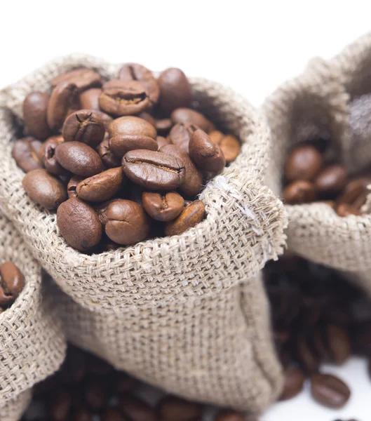 Coffee beans — Stock Photo, Image