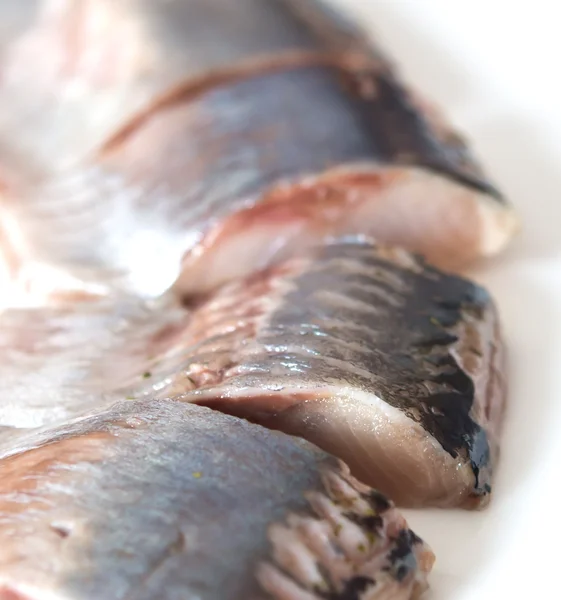 Herring — Stock Photo, Image