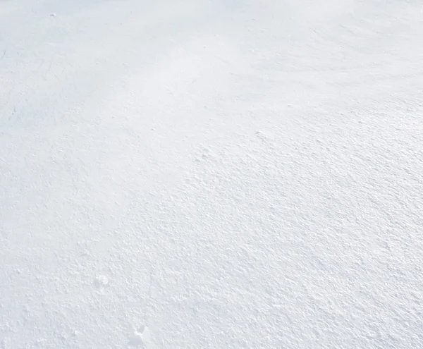 Neuschnee — Stockfoto