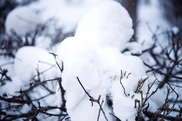 Snow — Stock Photo, Image