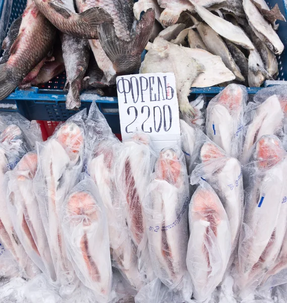 Pesce crudo — Foto Stock