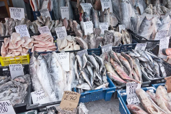 Peixe cru — Fotografia de Stock