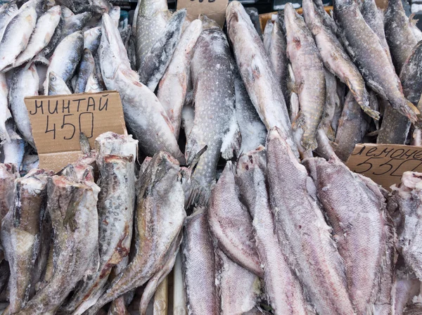 Frozen fish — Stock Photo, Image