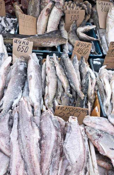 Pesce crudo — Foto Stock