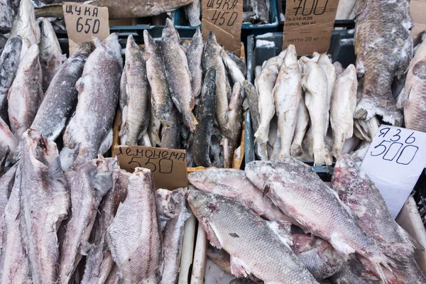 Peixe cru — Fotografia de Stock