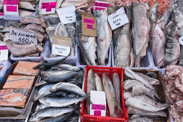 Raw fish — Stock Photo, Image