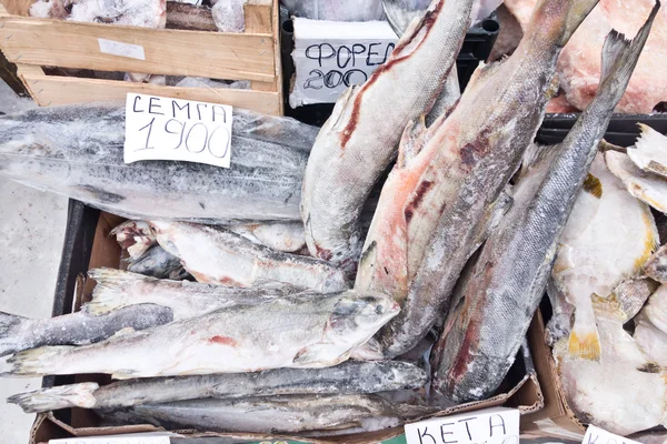 Raw fish — Stock Photo, Image