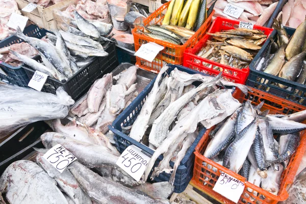 Pesce crudo — Foto Stock