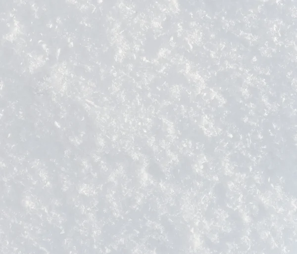 Nysnö — Stockfoto