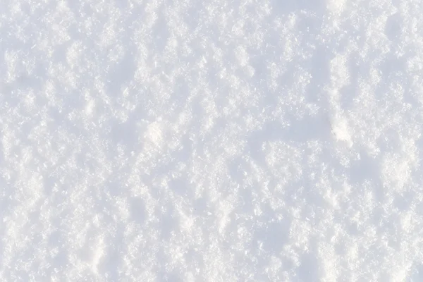 Čerstvý sníh — Stock fotografie