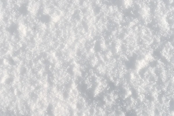 Taze kar — Stok fotoğraf