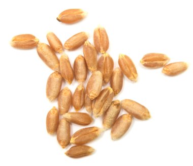 buğday tahıl
