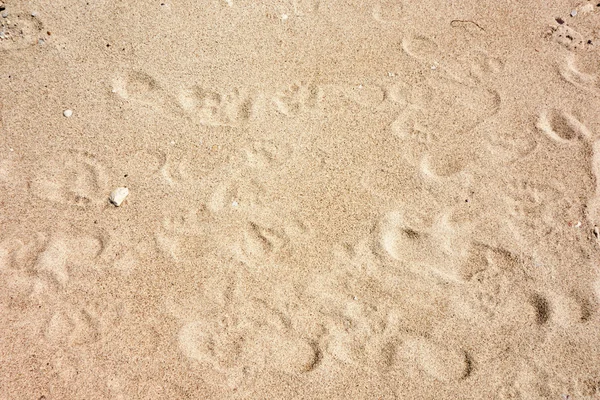 Sand background — Stock Photo, Image