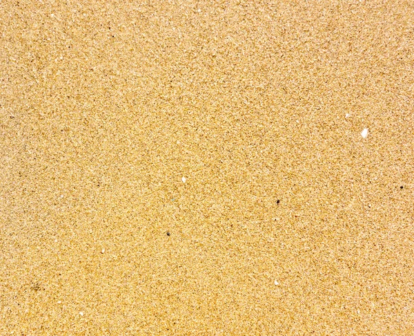 Feuchter Sand — Stockfoto