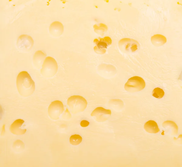 Cheese — Stock Photo, Image