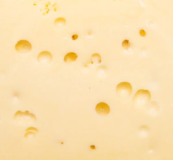 Fondo de queso — Foto de Stock