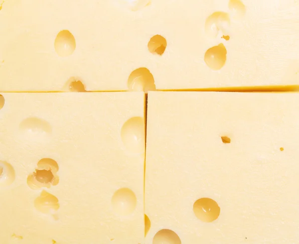 Sýrové pozadí — Stock fotografie