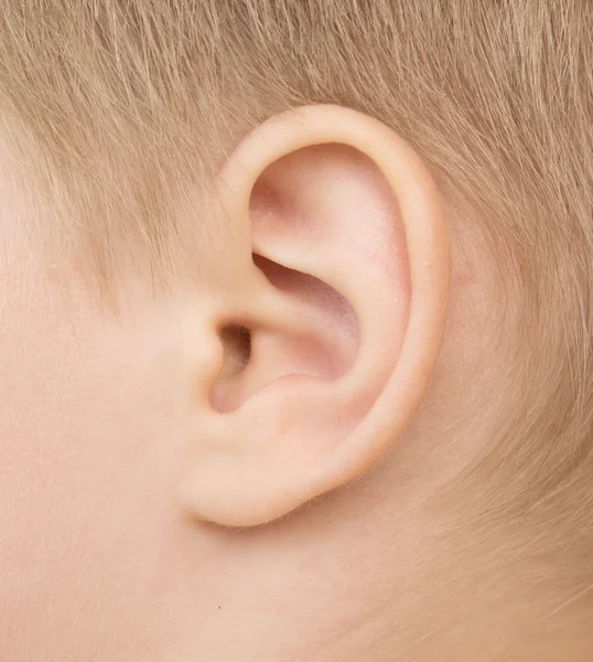 Baby ear — Stock Photo, Image