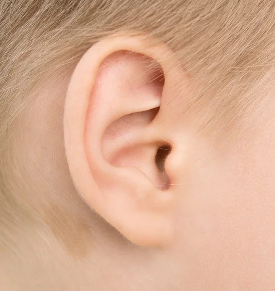 Baby ear — Stock Photo, Image