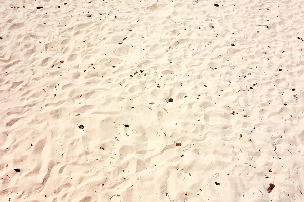 Spiaggia di sabbia — Foto Stock