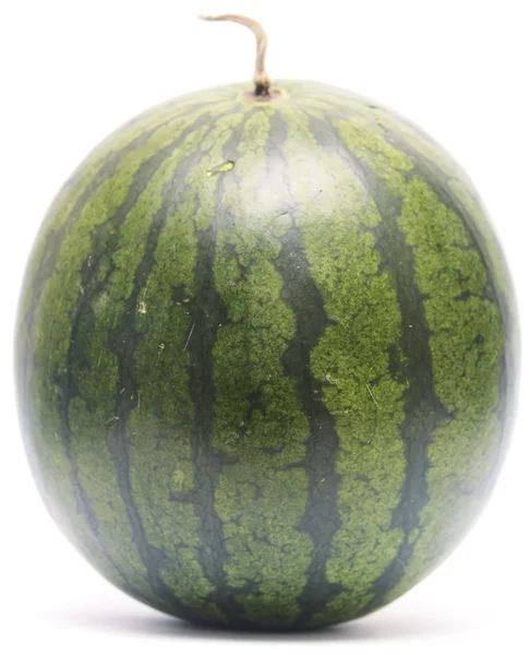 Whole watermelon — Stock Photo, Image