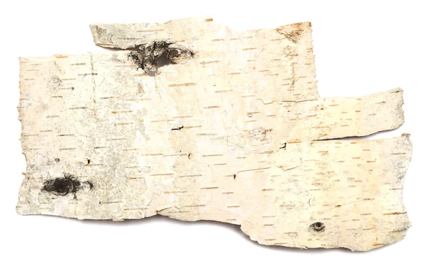 Birch bark — Stock Photo, Image