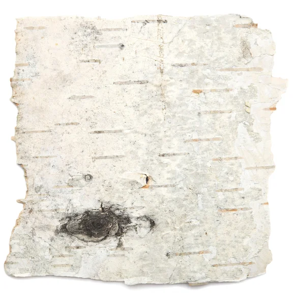 Birch bark — Stock Photo, Image