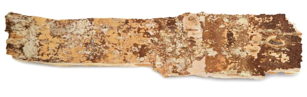 Birch bark — Stock Photo, Image