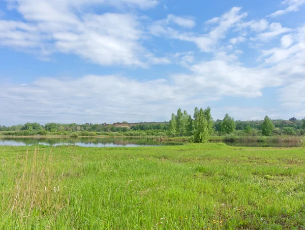 Paesaggio estivo — Foto Stock