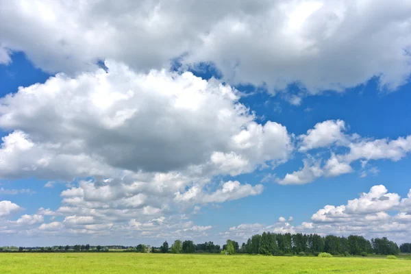 Zomer landschap — Stockfoto