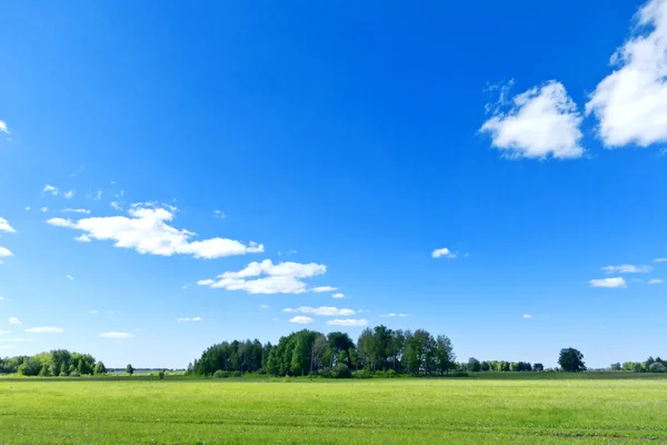 Paesaggio estivo — Foto Stock