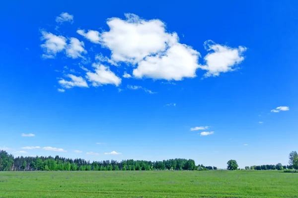 Sommarlandskap — Stockfoto