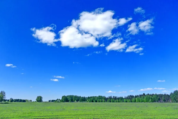 Sommarlandskap — Stockfoto