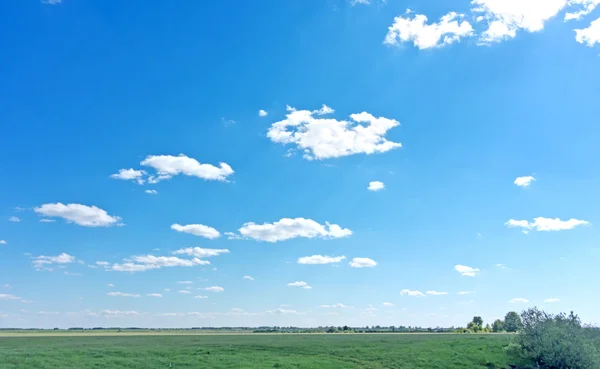 Sommerlandschaft — Stockfoto