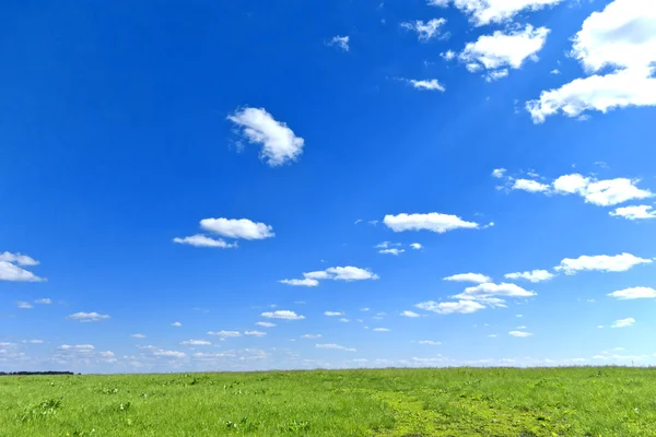 Paesaggio estivo — Foto Stock