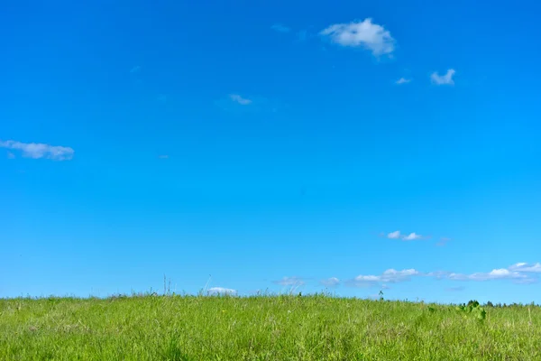 Sommarlandskap — Stockfoto