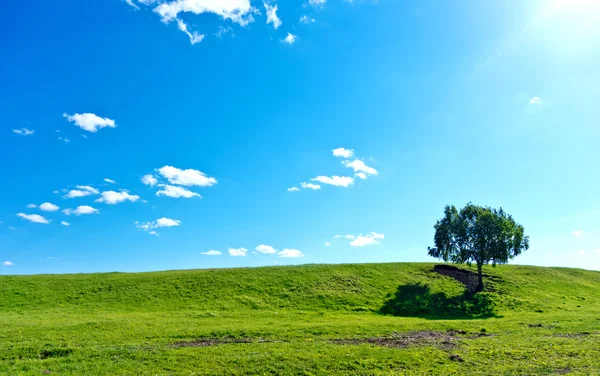 Sommerlandschaft — Stockfoto