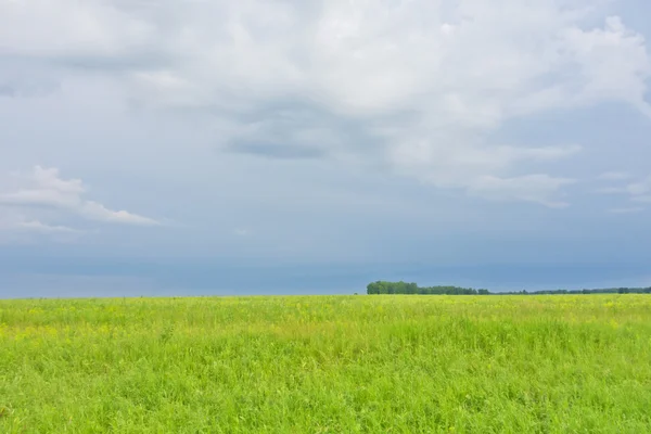 Paesaggio estivo — Foto Stock