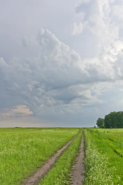 Sommarlandskap — Stockfoto